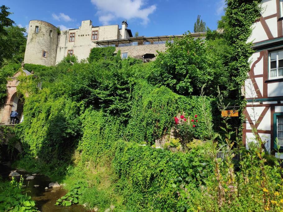 Das Hideaway Zum Seele Baumeln Lassen ! Bad Muenstereifel Exterior foto